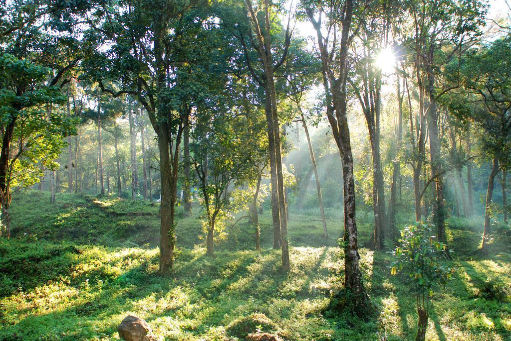 Deep Woods Resort Munnar Bagian luar foto