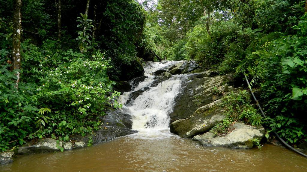 Deep Woods Resort Munnar Bagian luar foto