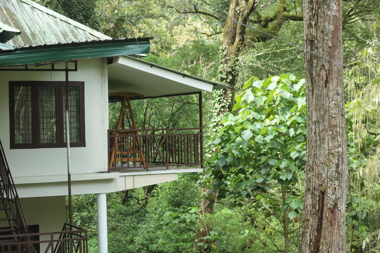 Deep Woods Resort Munnar Bagian luar foto